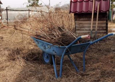 Aplinkos ministerijos nuotr.