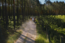 Valstybinių miškų urėdijos nuotr.