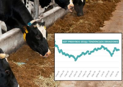 GDT indekso tendencijos dekadomis. Prekybos sesijos šioje platformoje vyksta du kartus per mėnesį.