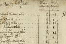 1677 m. surašytas valdovui priklausiusio valdų kompelkso – Telšių seniūnijos – inventorius. Kartu su kaimų surašyti ir Telšių miestelio gyventojai.Kalvotoji Žemaitija nuotr.