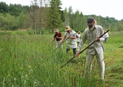 Utenos diena nuotr.