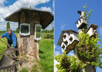 Senojo ąžuolo prisiminimui – baublys su veidrodiniais langeliais. Anykšta nuotr.