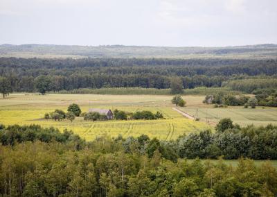 Vienkiemis.AM nuotr.