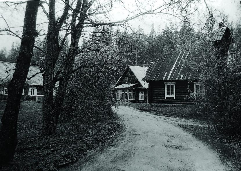 Utenos diena nuotr. 