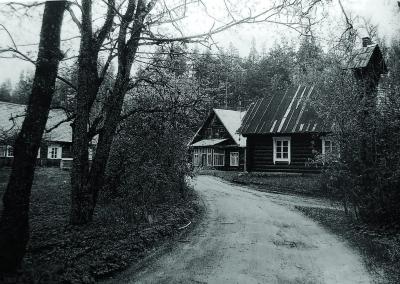 Utenos diena nuotr.