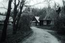 Utenos diena nuotr.