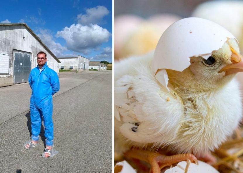 Naujajam paukščių perinimo inkubatoriui Janaslavo kaime vadovaus ilgametę patirtį paukštininkystės srityje sukaupęs veterinarijos gydytojas Romualdas Sinkevičius. Dzūkų žinios nuotr. 