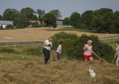Šienapjūtė.Atspindžių nuotr