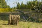Asociatyvi nuotr. Lietuvos gamtos fondas nuotr.