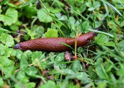Asociatyvi nuotr.