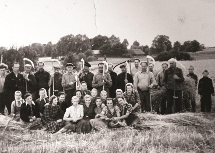 Kuprių ir Mažionių žmonės rugiapjūtėje „Ąžuolo“ kolūkyje apie 1955 m. 