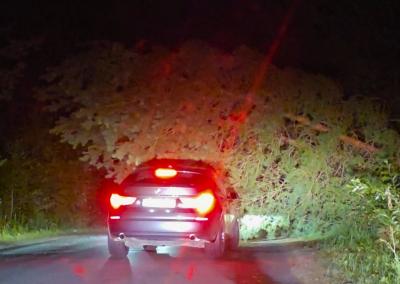 Asociatyvi nuotr. Gedimino Stanišausko nuotr.