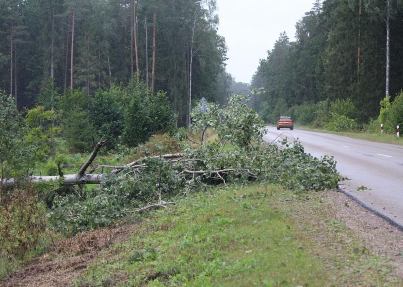 Asociatyvi nuotr. Gedimino Stanišausko nuotr. 