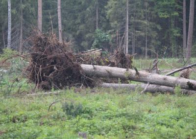 Asociatyvi nuotr. Gedimino Stanišausko nuotr.