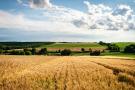 Žemė. NŽT nuotr.