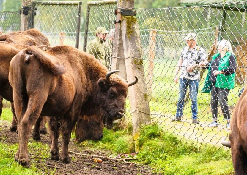 Stumbriukų krikštynos. Jūsų Panevėžys nuotr. 