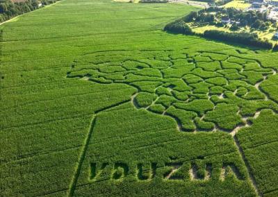 Asociatyvi nuotr. VDU ŽŪA nuotr.