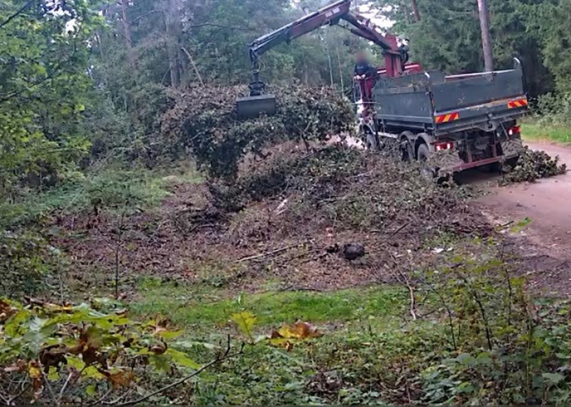 Valstybinių miškų urėdijos nuotr. 