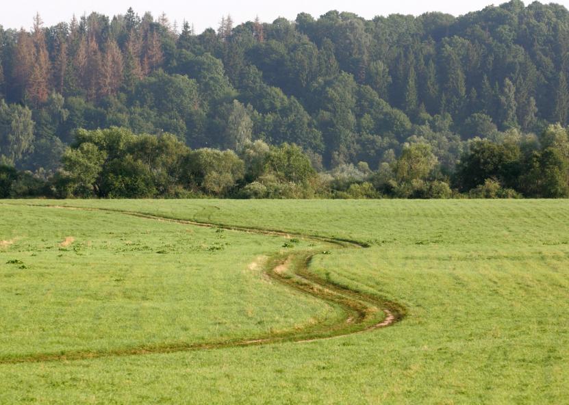 Žemė. NŽT nuotr. 
