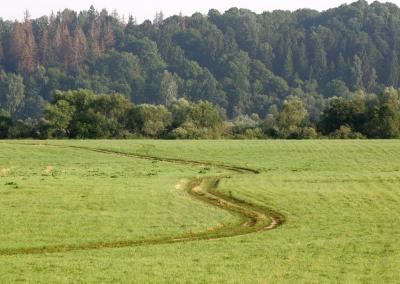 Žemė. NŽT nuotr.