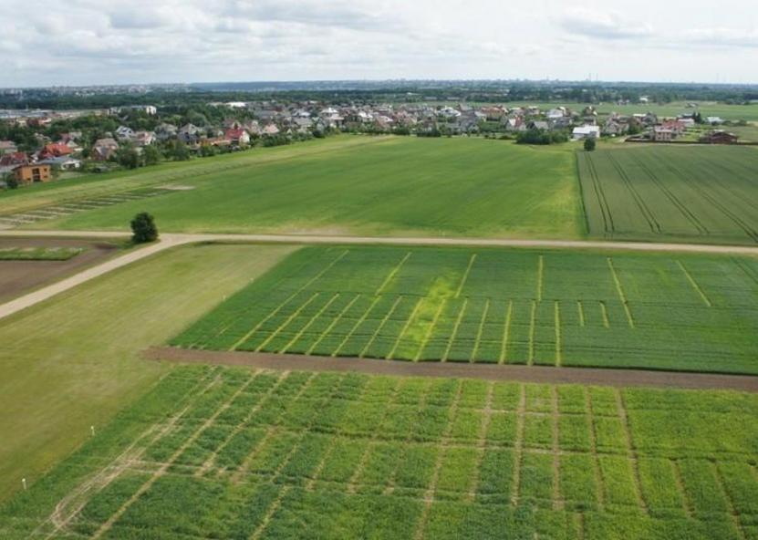 Žemė. NŽT nuotr. 