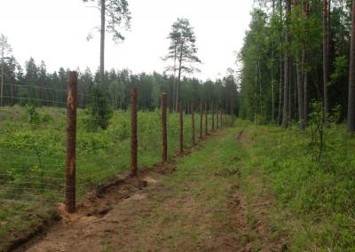 Valstybinių miškų urėdijos nuotr.