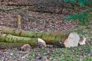 Asociatyvi nuotr. Rinkos aikštė nuotr.